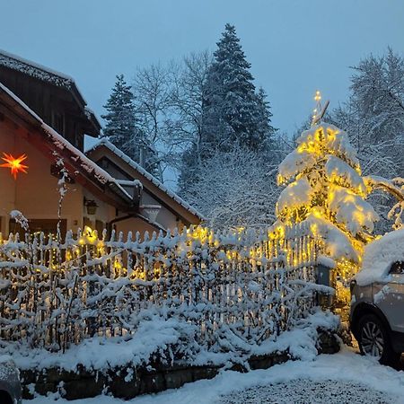 Gemuetliche Waldrandlage In Badenweiler Sehringen Ferienwohnung Eksteriør billede