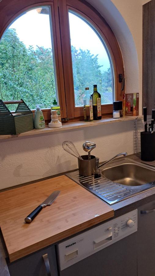 Gemuetliche Waldrandlage In Badenweiler Sehringen Ferienwohnung Eksteriør billede