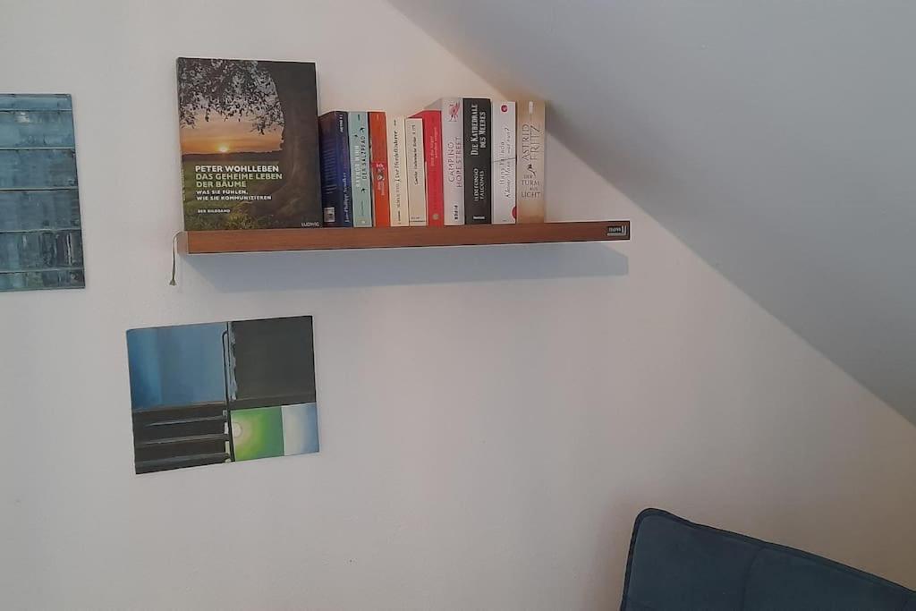 Gemuetliche Waldrandlage In Badenweiler Sehringen Ferienwohnung Eksteriør billede