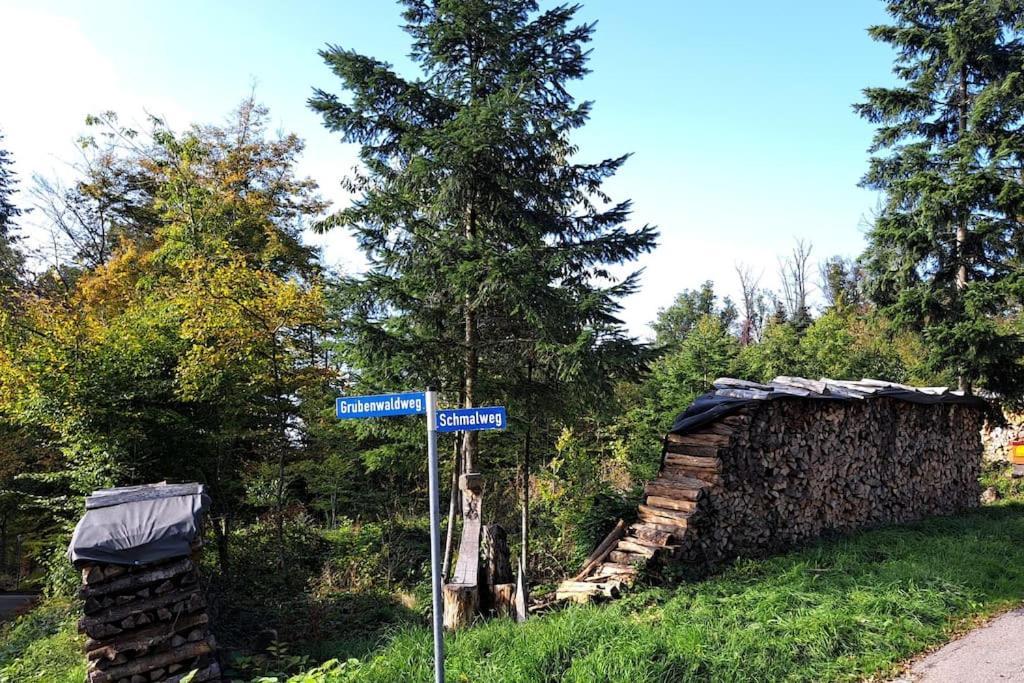 Gemuetliche Waldrandlage In Badenweiler Sehringen Ferienwohnung Eksteriør billede