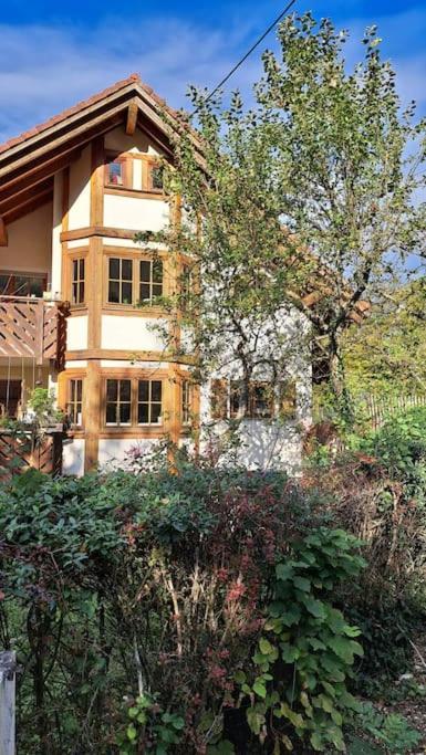 Gemuetliche Waldrandlage In Badenweiler Sehringen Ferienwohnung Eksteriør billede