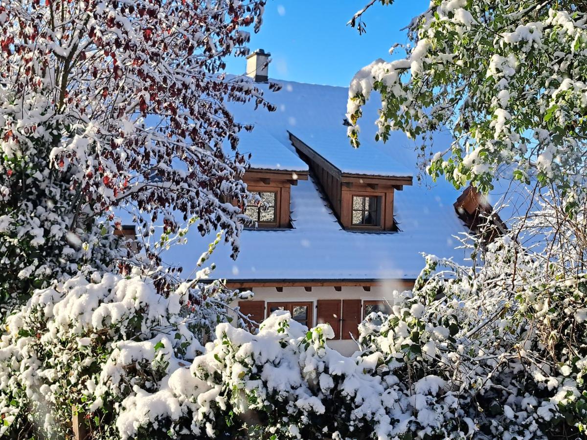 Gemuetliche Waldrandlage In Badenweiler Sehringen Ferienwohnung Eksteriør billede
