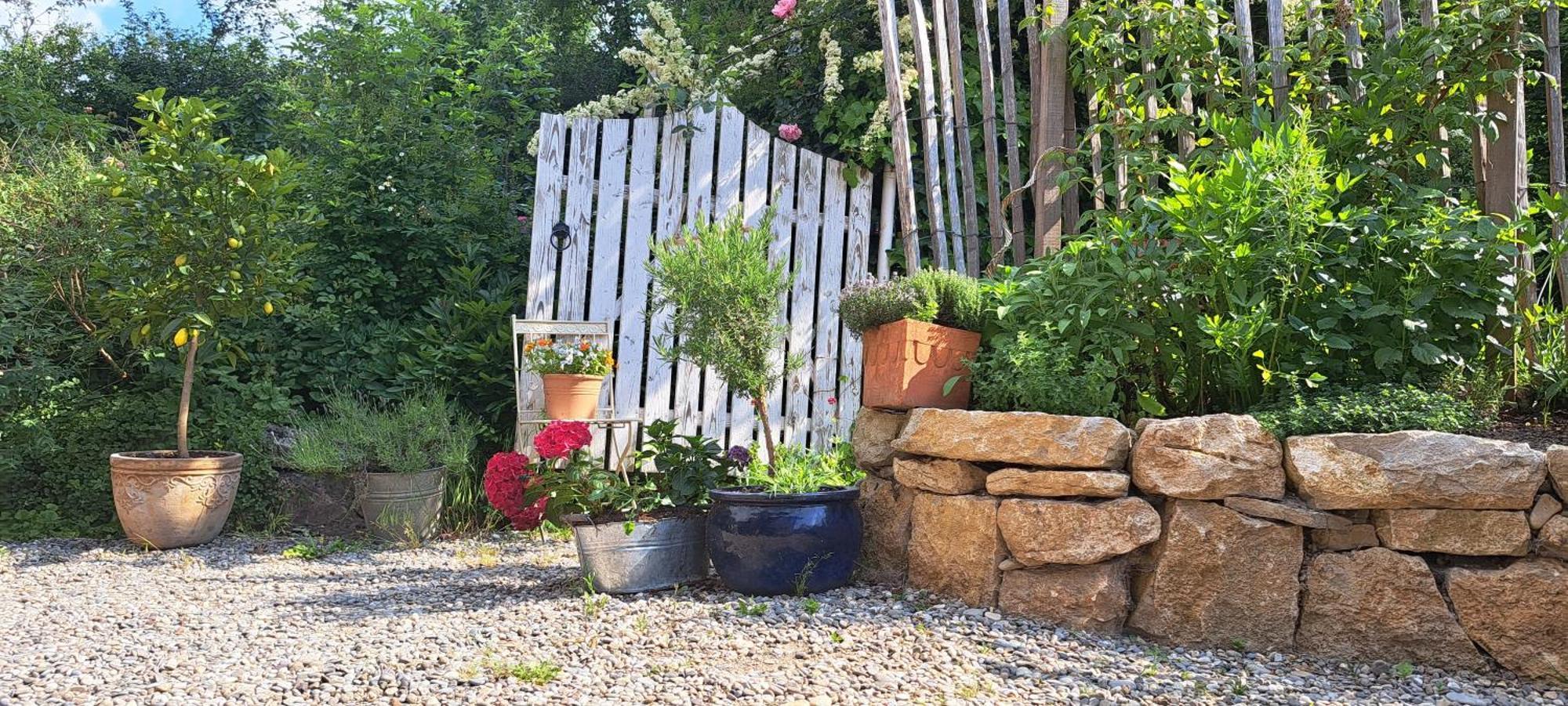 Gemuetliche Waldrandlage In Badenweiler Sehringen Ferienwohnung Eksteriør billede